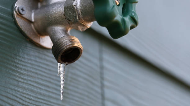 Best Emergency Plumber  in Cottage Lake, WA
