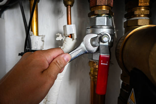 Best Water Leak Repair  in Cottage Lake, WA